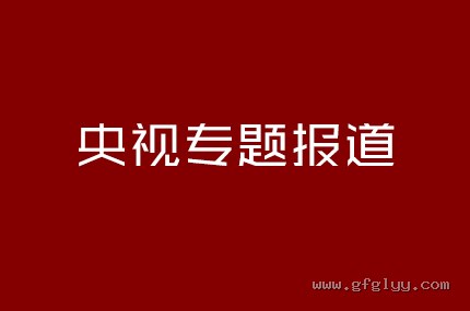 央视专题报道